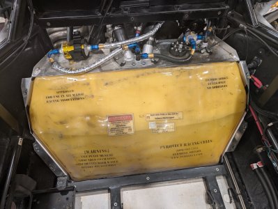 PXL_20241105_065905618.MP Large.jpeg