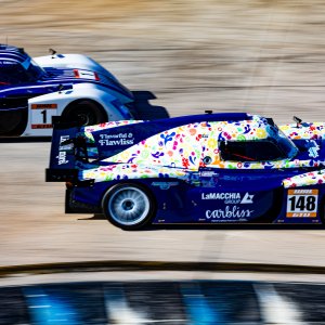 WRL at Sebring 2025-77.jpg